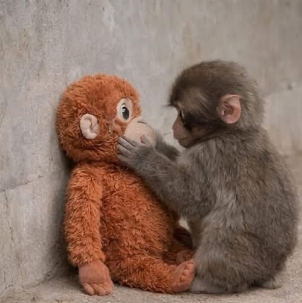 Aadi 💪 (@rawandreals) on Twitter photo 