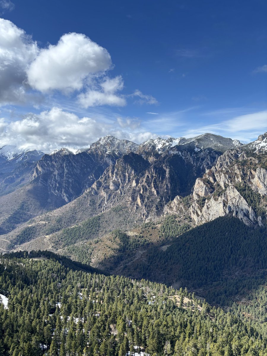 Quim Gonter tweet media