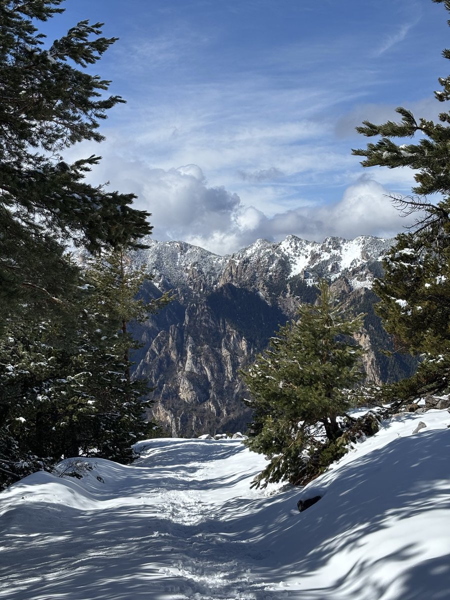 Quim Gonter tweet media