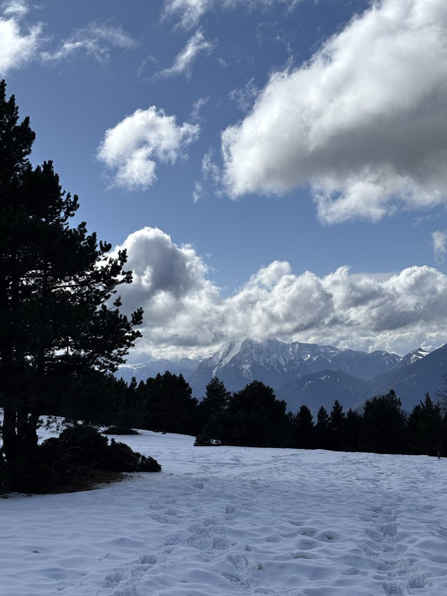 Quim Gonter tweet media