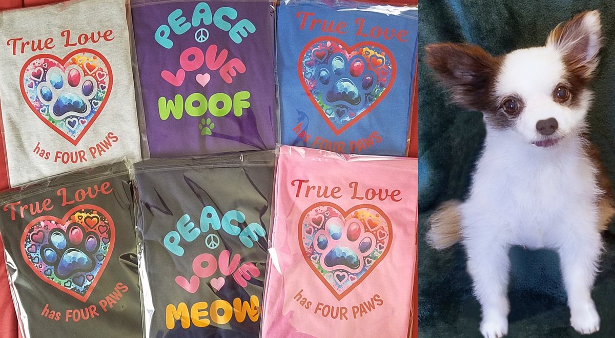 Charlie Boo 💙🐶 tweet media