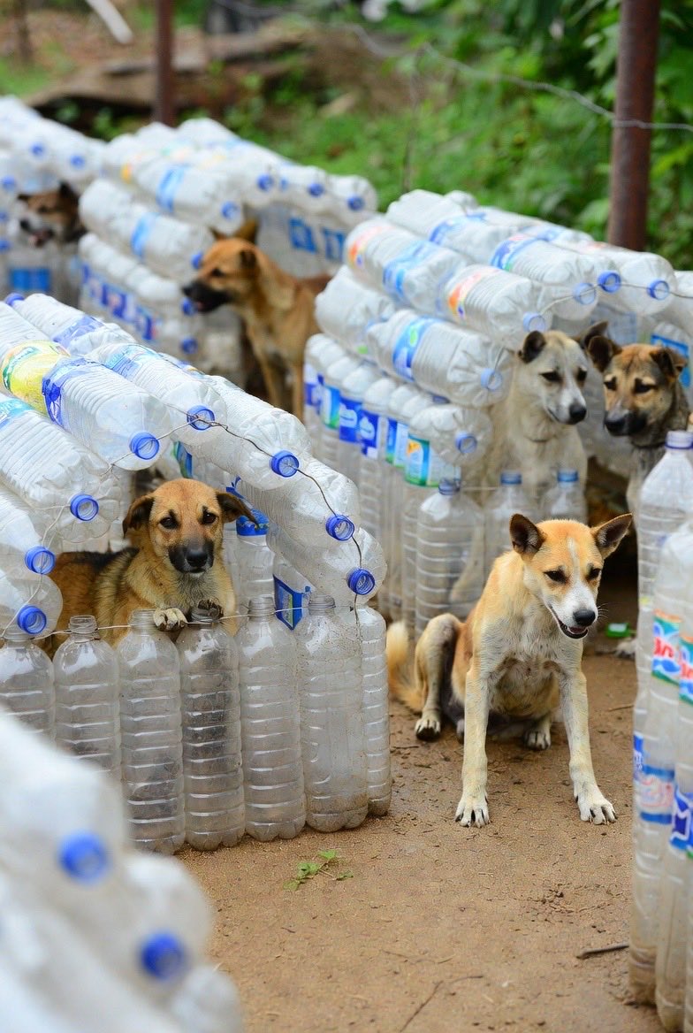 Mike Reid🌱 tweet media