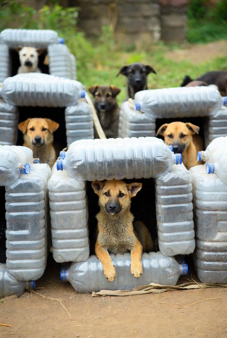 Mike Reid🌱 tweet media