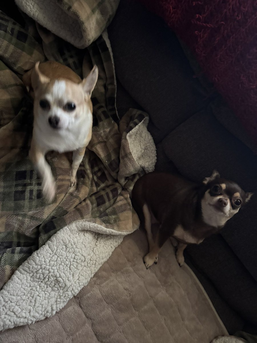 C9 Nejra tweet media