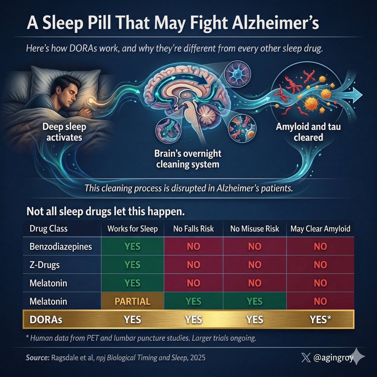 agingroy's tweet photo. Your sleeping pill might be fighting Alzheimer's. A 2025 review in a @Nature journal finds that DORAs, a newer class of sleep drugs, may clear amyloid and tau from the brain overnight via the glymphatic system. 

Suvorexant already has human data: PET imaging and lumbar punctures show it acutely lowers both toxic proteins. 

This isn't a cure. But it's a real mechanism, in real patients, with drugs already on pharmacy shelves.