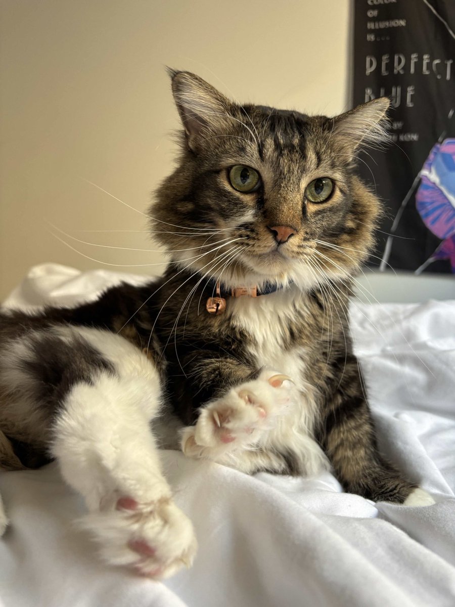 JINJI 🪡 tweet media