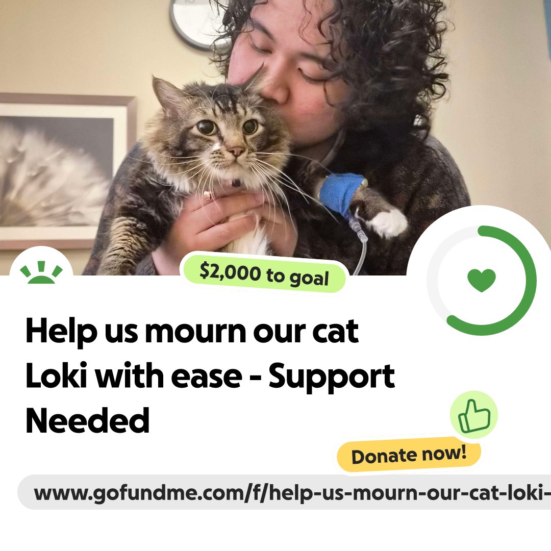 JINJI 🪡 tweet media