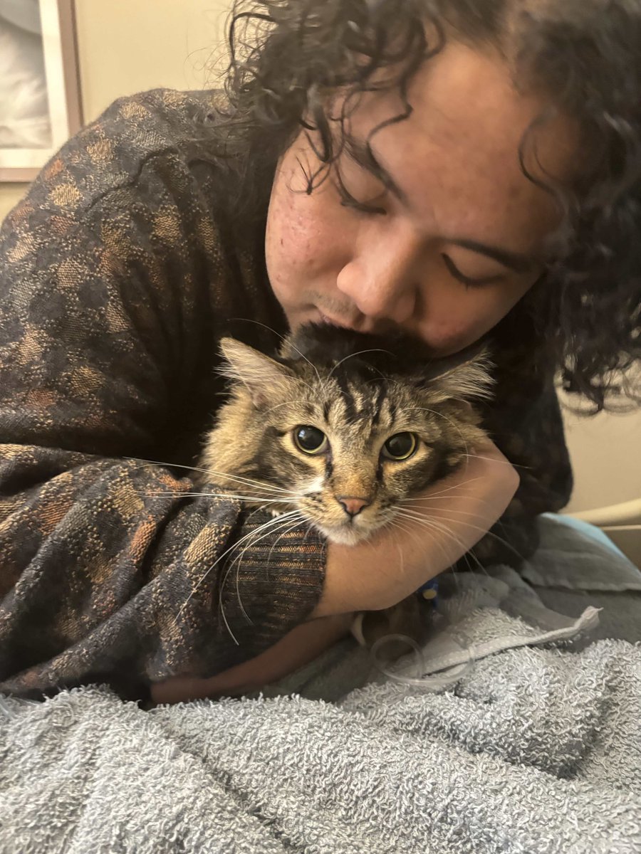 JINJI 🪡 tweet media