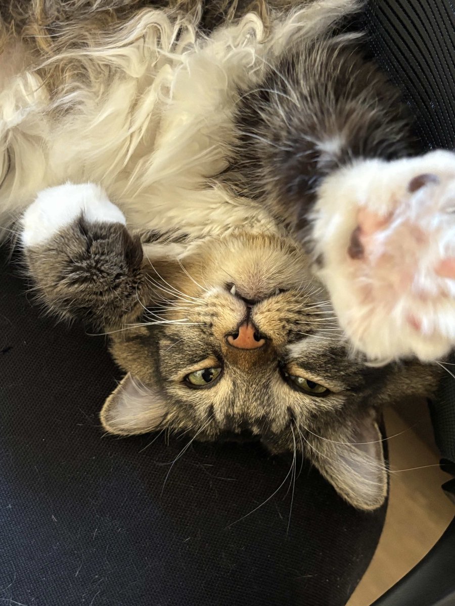 JINJI 🪡 tweet media