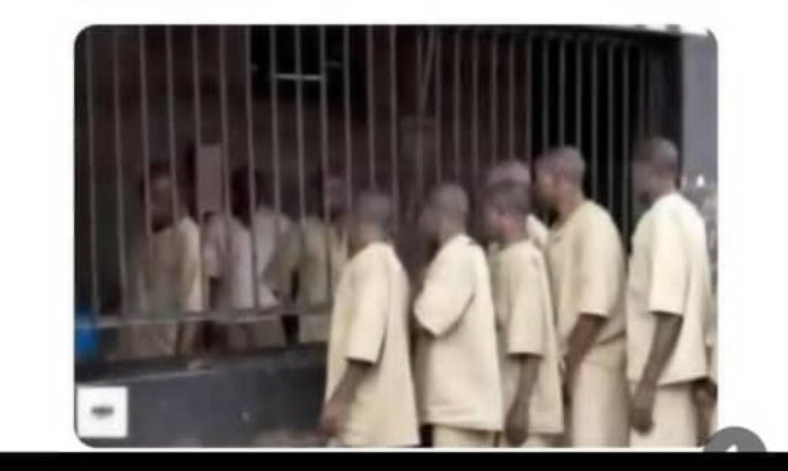 Invincible_sys's tweet photo. NELFUND beneficiaries 2 years after graduation 😂😂💔 https://t.co/HNm7XJCwJO