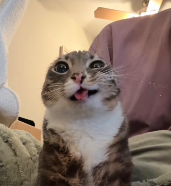 Masi ✨ tweet media