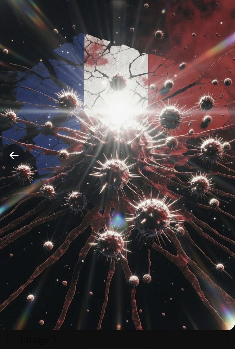 🇨🇵 sans filtre 🇨🇵 tweet media