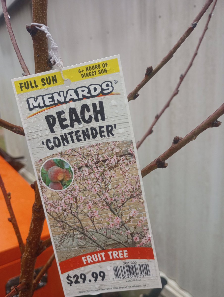 Farm Boy tweet media