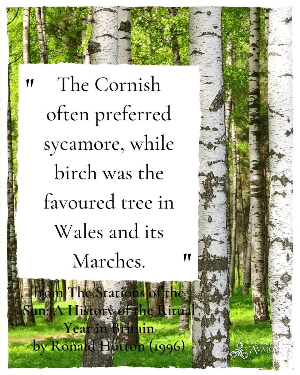 "The Cornish often preferred sycamore, while birch was the favoured tree in Wales and its Marches."
- from The Stations of the Sun: A History of the Ritual Year in Britain
by Ronald Hutton (1996)

#sycamore #birch #wales #welshmarches