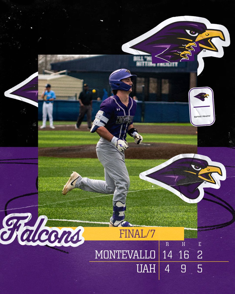 Montevallo Baseball tweet media