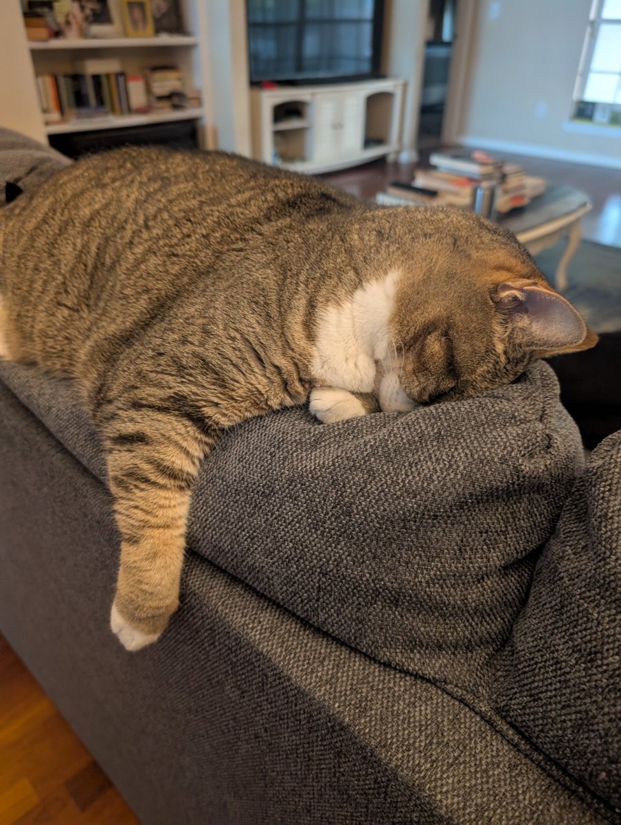 the derp chronicles tweet media