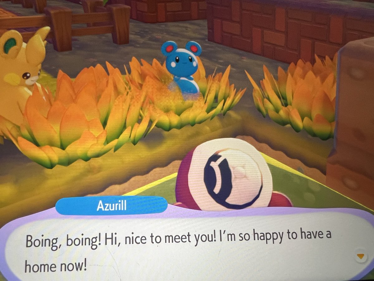 azurill want boing boing