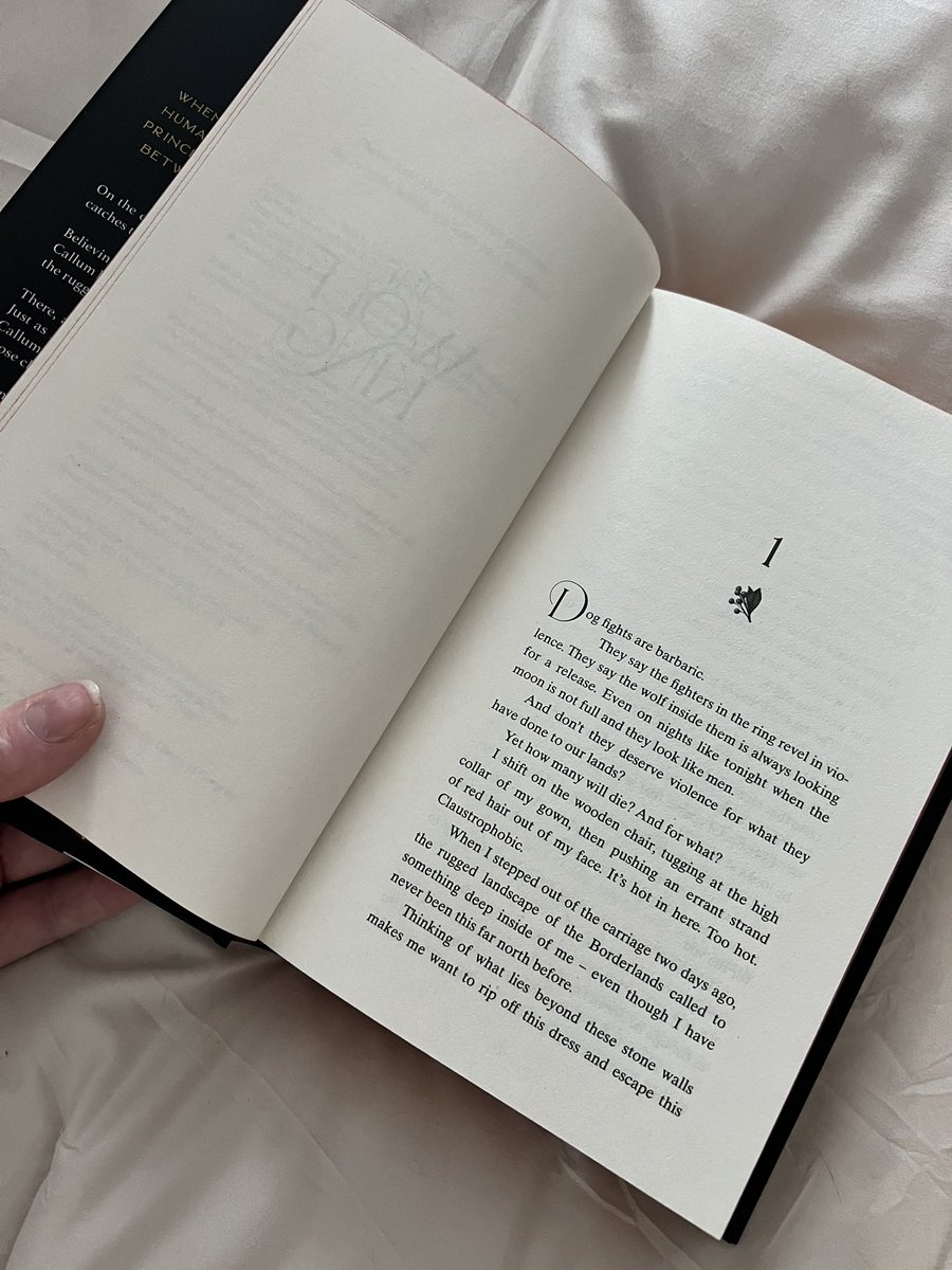 Callie Alyse🥀 tweet media