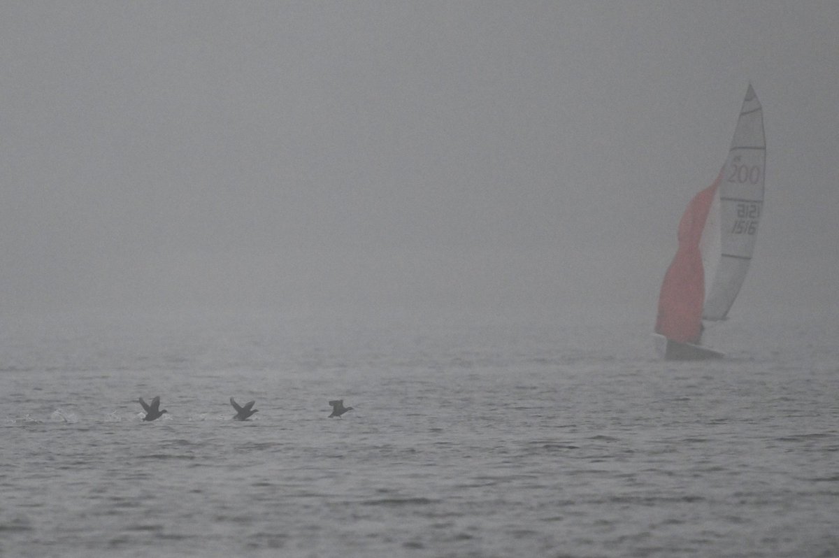 Bri Thompson tweet media