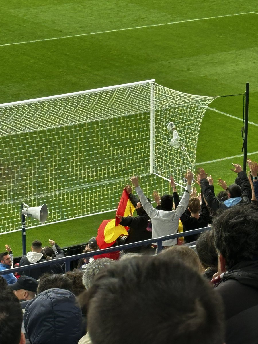 Baptista Basset tweet media