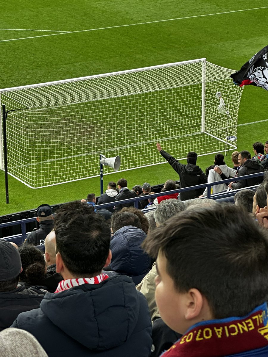 Baptista Basset tweet media