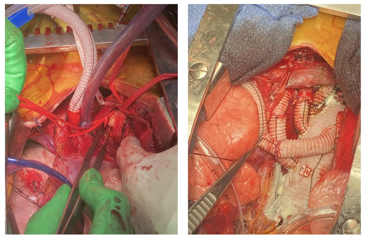 Sasha Still MD tweet media