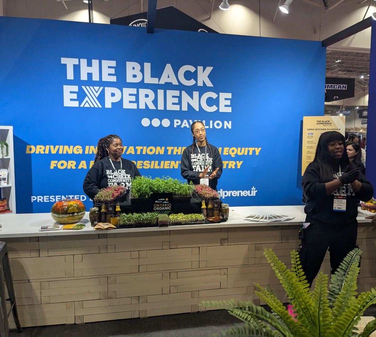 Black Creek Community Farm tweet media