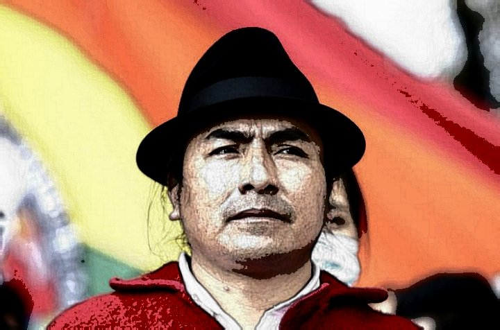 Elmo Ordaz anti zurdos✴ tweet media