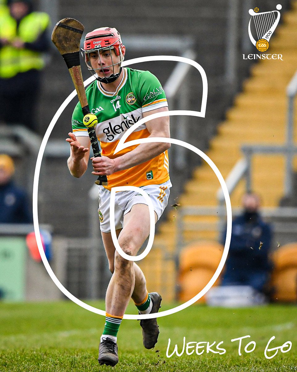 Leinster GAA tweet media