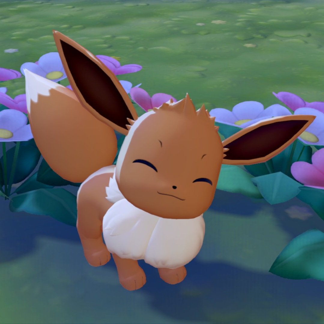 🎀 Sandylu 🎀 tweet media