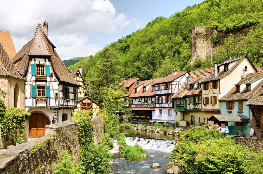 rektdiomedes tweet media