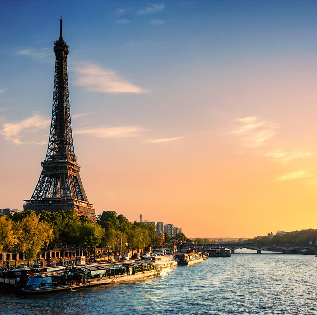 rektdiomedes tweet media