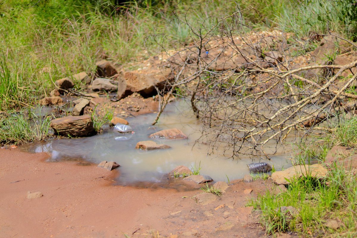 CollenMashFoundation tweet media