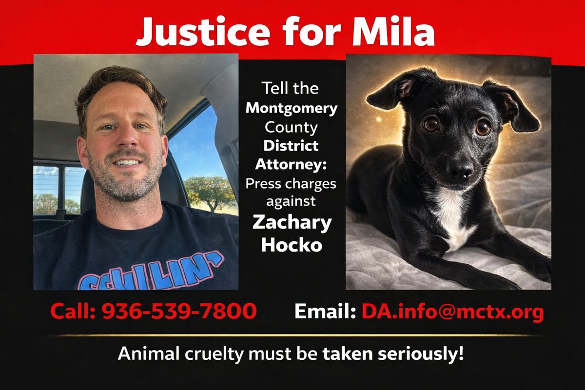 LoneStarChica's tweet photo. 🚨 JUSTICE FOR MILA 🚨

On March 4, Zachary Hocko violated an active restraining order and entered his ex-girlfriend’s home without her consent. According to the victim, he took her dog Mila and abandoned her near an exit in Conroe.

Mila was struck by a vehicle. A passerby found her and tried to save her, but it was too late. 💔

⚖️ Hocko is also currently awaiting trial for domestic violence assault causing bodily injury to a family member, according to court records.

The victim has filed charges in Mila’s case, but they have not yet been accepted.

🐾 Mila’s mom shared this heartbreaking message:

“Mila was rescued from the street 😭 When somebody found her and gave her to us, I thought we were saving her, but she was really saving us. We built a great family with her. She truly was the baby of the house. The house feels so empty without her.”

Mila deserved better. No animal deserves to be abandoned and left to die on the side of the road.

📢 PLEASE SPEAK UP FOR MILA

Contact the Montgomery County District Attorney’s Office and ask them to press charges.

📞 936-539-7800
📧 DA.info@mctx.org
👉 Share this post so Mila’s story is heard.

#JusticeForMila 🐾💔