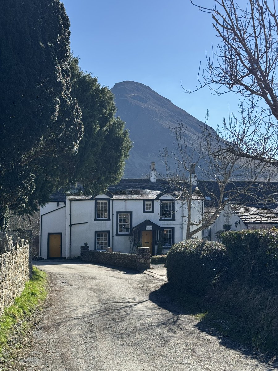 Terry Abraham tweet media