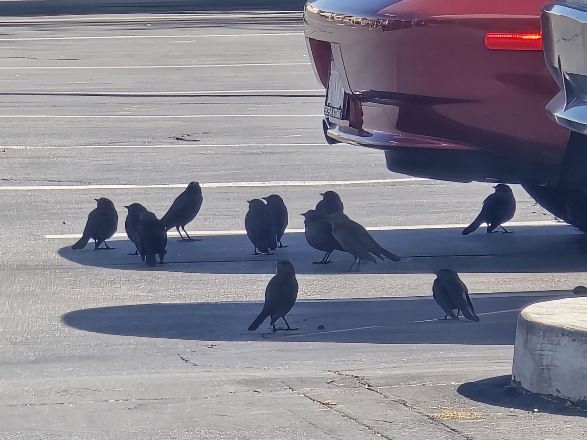 Fellatrix tweet media