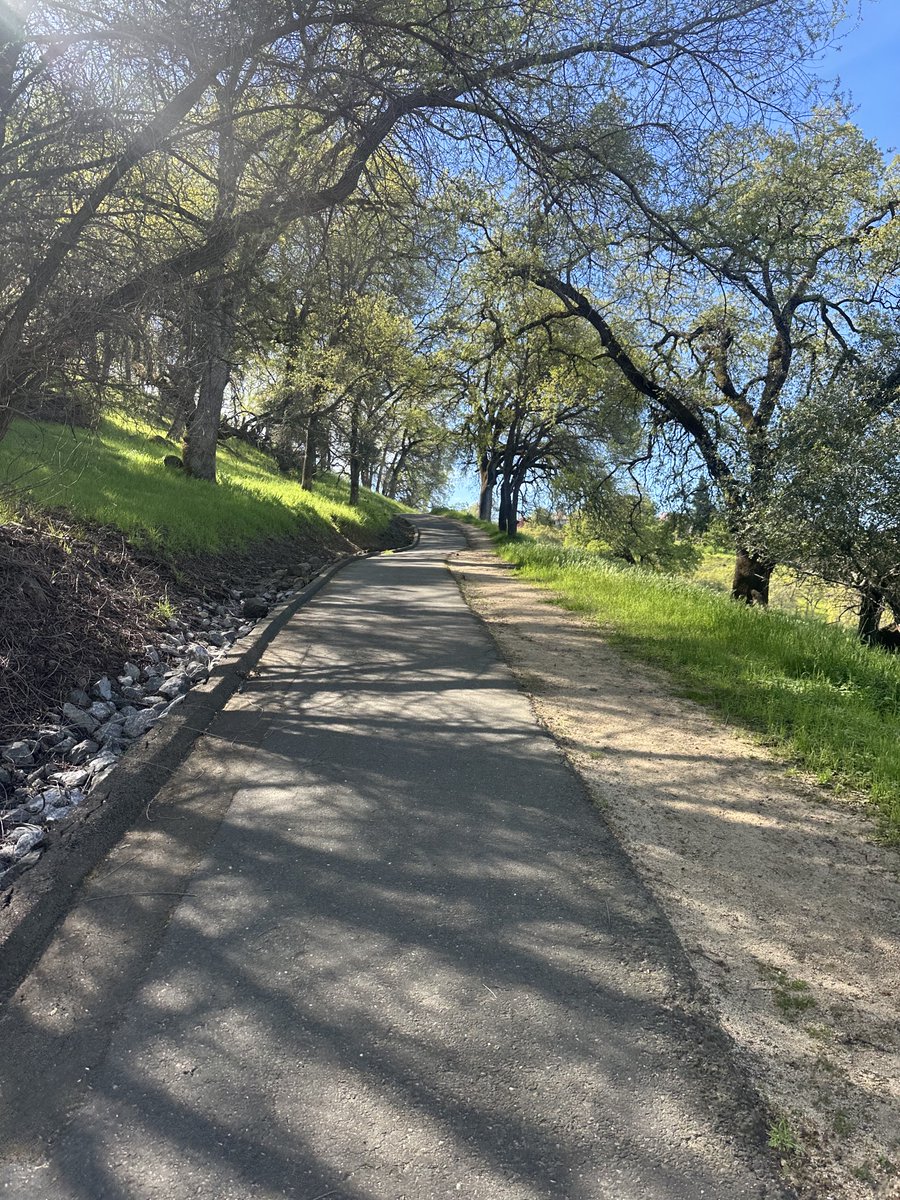 Edward Eaton tweet media