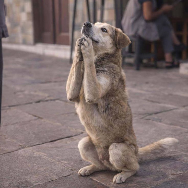 Kristina Bolten tweet media