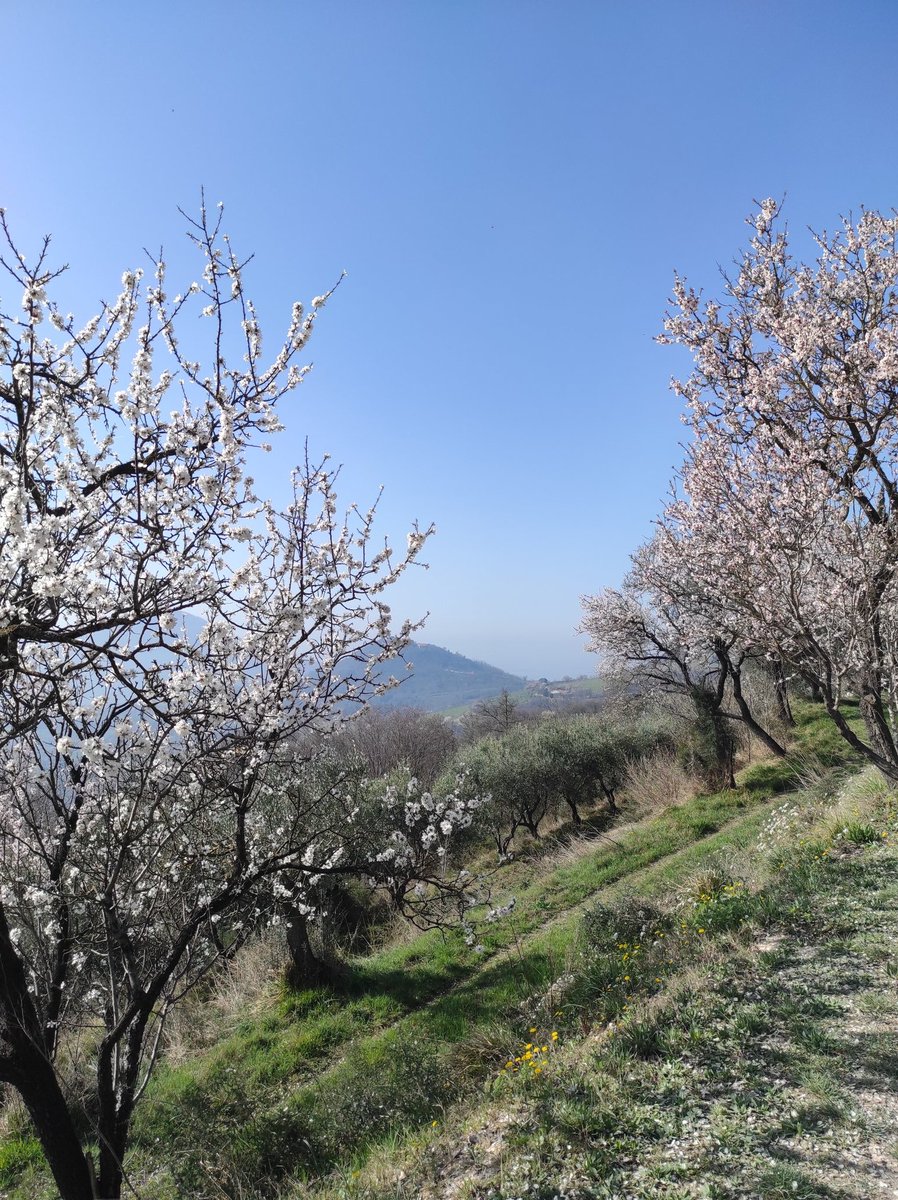 delfina 🐦 tweet media