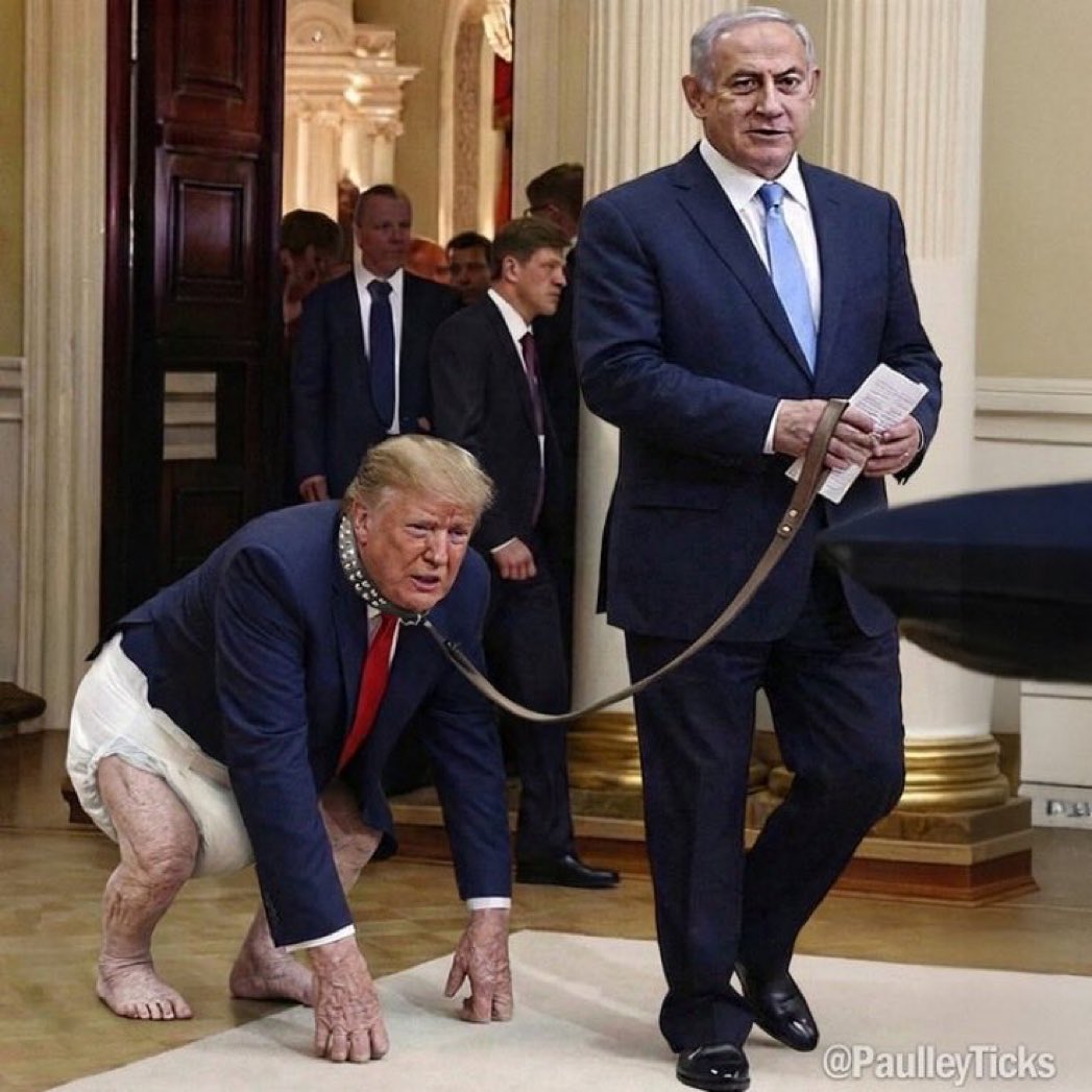 muzzam78693's tweet photo. @AFpost @Wrangel1825 #DeathForIsrael #FuckTrump #Trump is a Pedo-criminel #FuckNetanyahu https://t.co/JniU6hXLBo