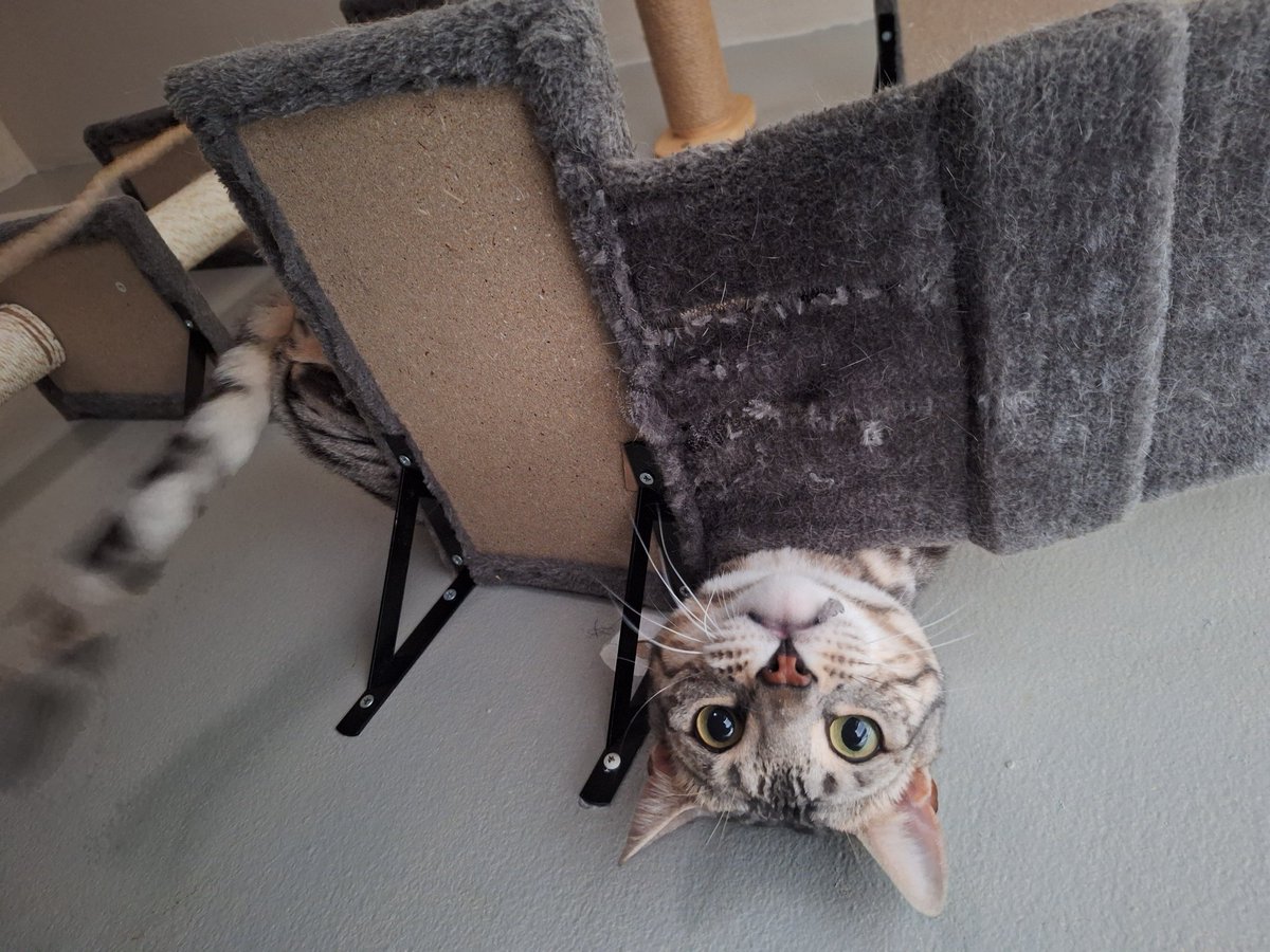 TheSinstr1 tweet media