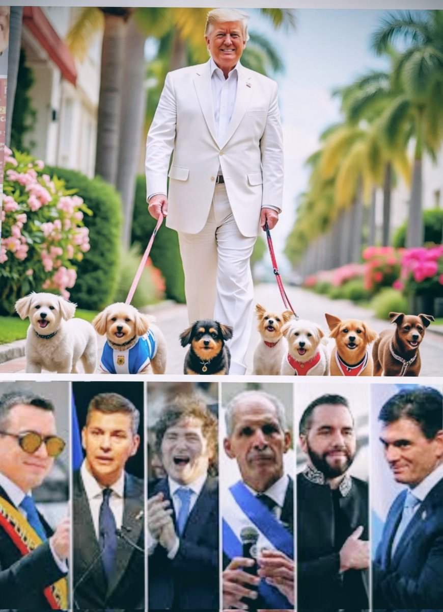 Expectativa / REALIDAD 

#Americas