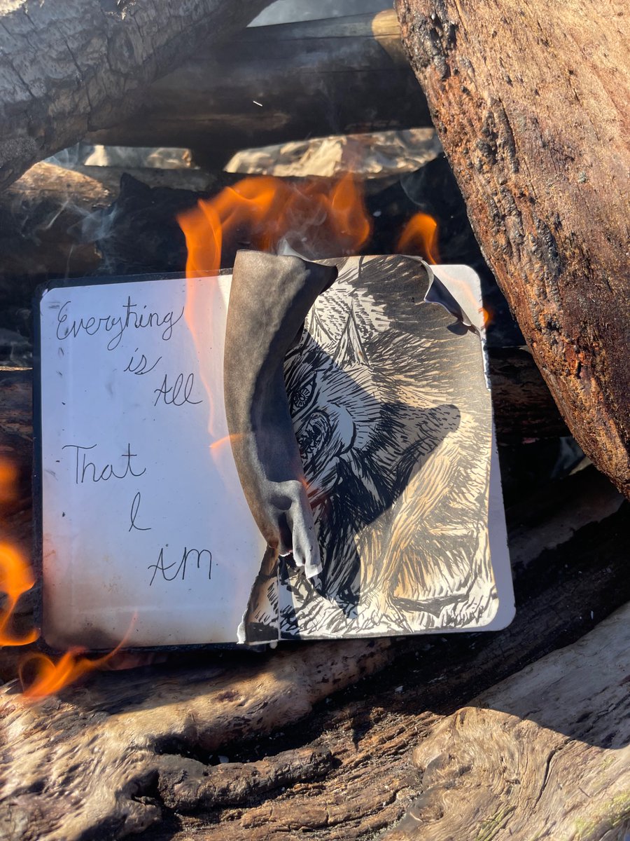 BlckKittycat696's tweet image. Turning pages.

📸: #E