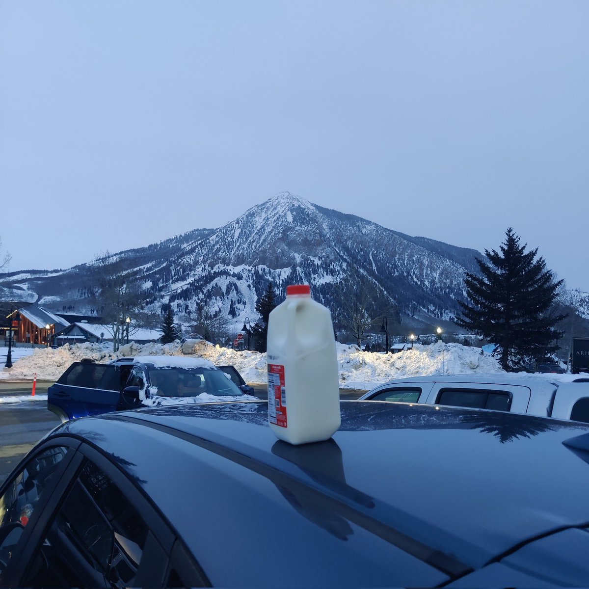 Static Queen | mocha tweet media