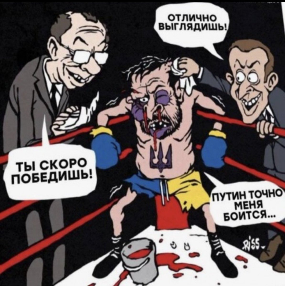 🇷🇺Фонд Бесполезного Контента🇷🇺 tweet media