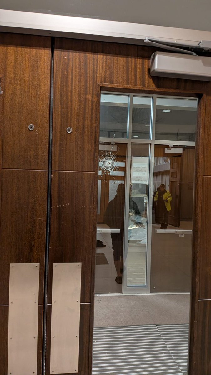 שילה פריד🇮🇱 tweet media