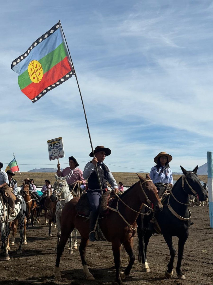 Gabriel Alamo tweet media