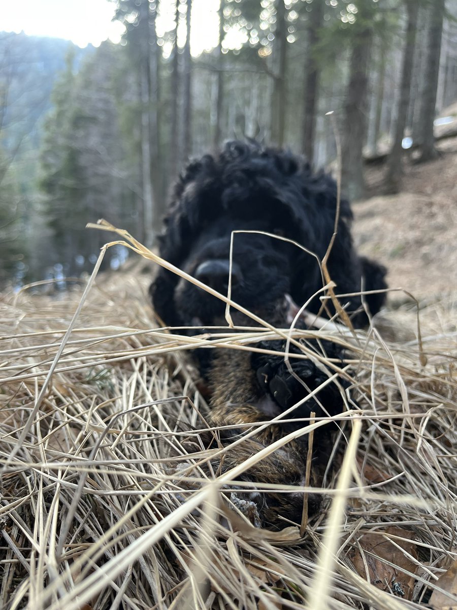 Ni ista kot prejšnjič.