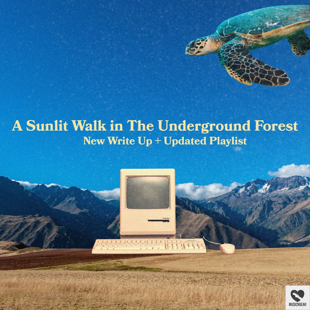 MUSICnGEAR's tweet photo. This month's A Sunlit Walk in the Underground Forest drifts from dreamy electronica and bedroom pop to shimmering folk and soft psychedelic sounds.  

Feat. @jaimepantss @KyleGordon_Song @TrousdaleMusic @MoraMich3lle @_ginazo_ + more

https://t.co/D49soepo1K https://t.co/IJE2KHmf8A