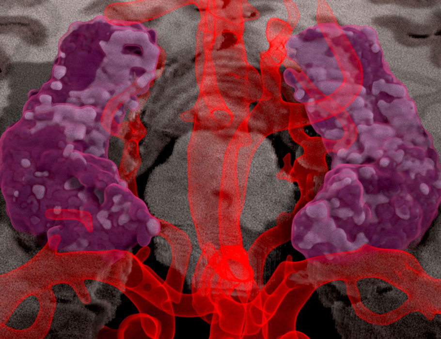 Science Signaling tweet media